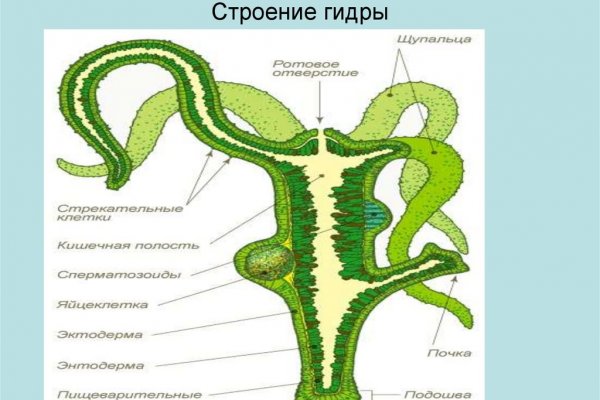 Не работает сайт блэкспрут blackprut com